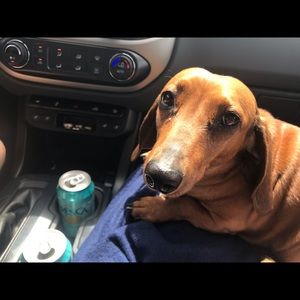 Meet your Posher, Sydney